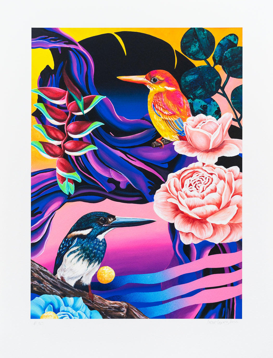Ara – Irene Lopez Leon – Artscape Warehouse – Street art print – Urban art print for sale – Limited edition street art print